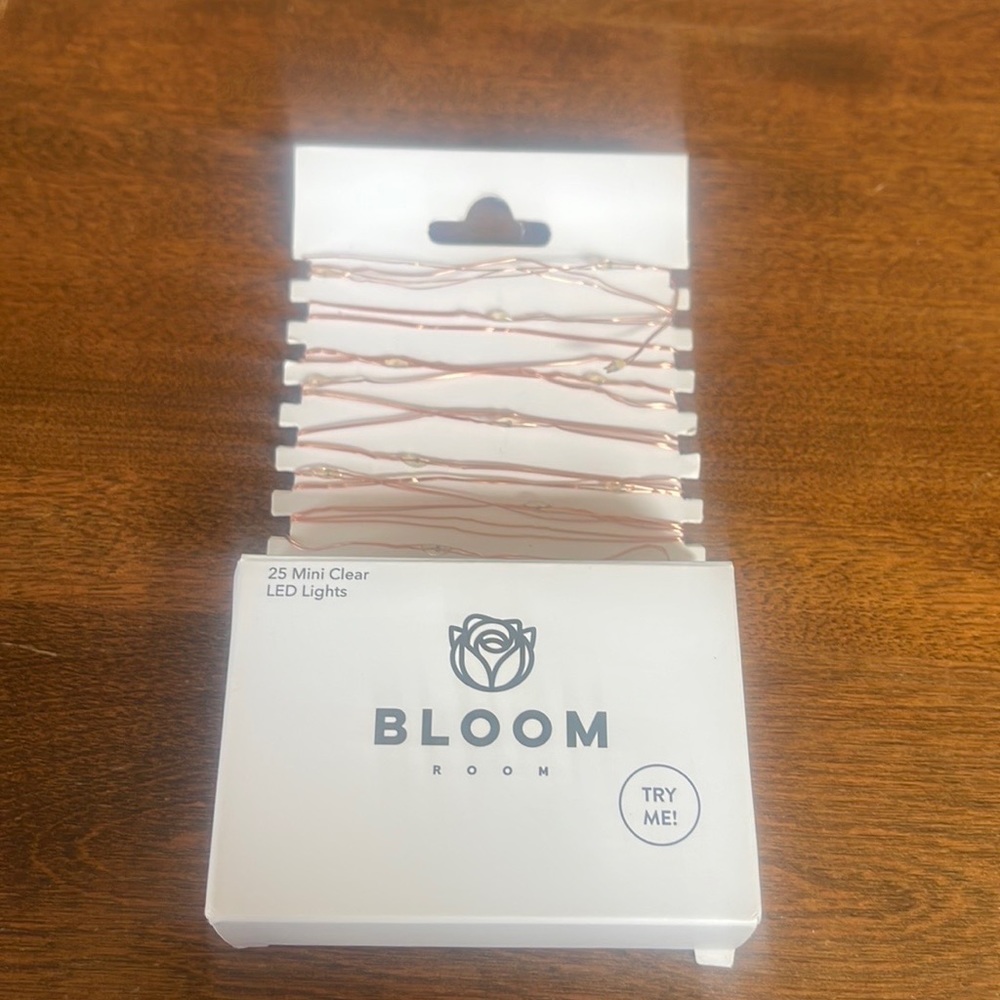 Bloom Room 25 ct LED Mini Copper Wire w/ Clear String Lights